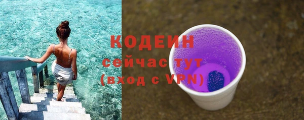 соль ск Арсеньев