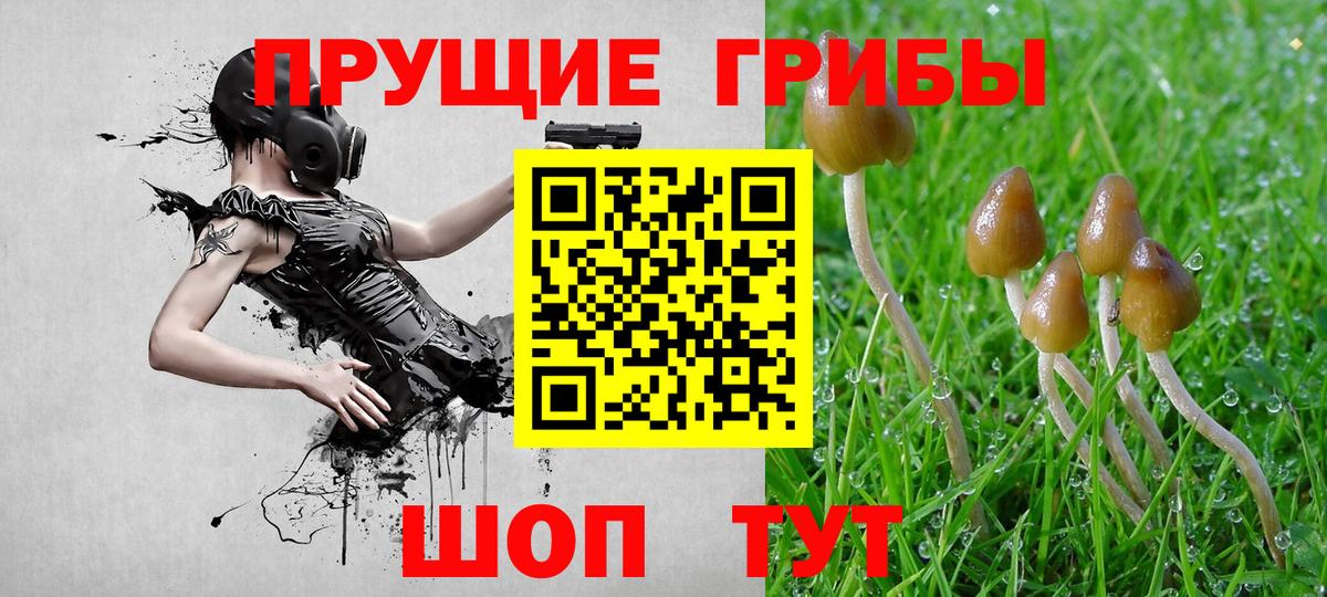Псилоцибиновые грибы MAGIC MUSHROOMS  Псилоцибиновые грибы мицелий  Вход с VPN  Балахна 